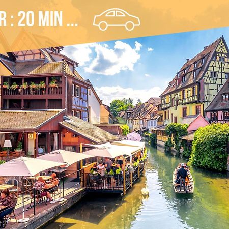 ✧ La Suite ✧ Studio De Charme Route Des Vins Kintzheim Ngoại thất bức ảnh